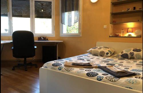 6th Arrondissement Appartement | Appartement avec vue sur le parc de la tête d'or