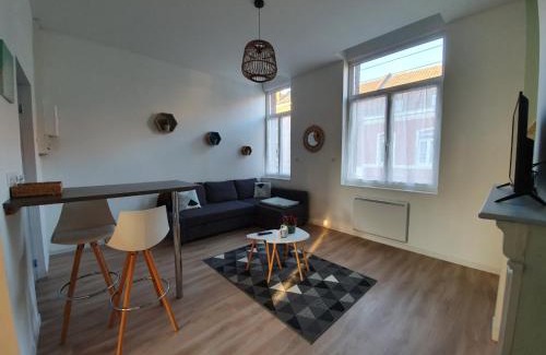Douai Appartement | Appartement calme, chaleureux et lumineux