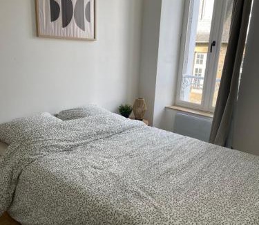 Montaubert - Rille - Saint-Sulpice Appartement | Appartement centre ville historique