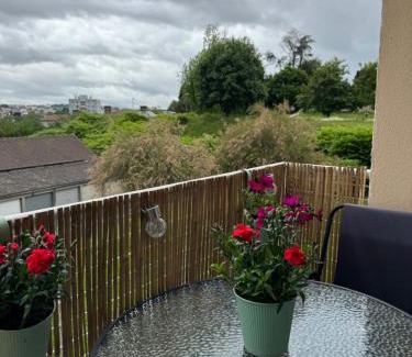 Limoges Appartement | Appartement chaleureux et spacieux T3