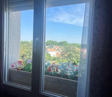 Baillargues Appartement | Appartement Cocooning et Romantique