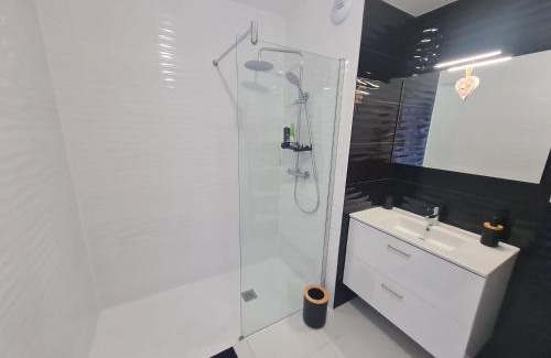 Saint-Pierre - Rene II - Bonsecours Appartement | Appartement contemporain 3 chambres avec vue sur canal, parking et internet à Nancy - FR-1-584-343