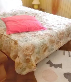 Tarbes Appartement | Appartement cosy à Tarbes - Terrasse et jardin clôturé