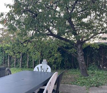 Folschviller Appartement | Appartement cosy avec terrasse jardin