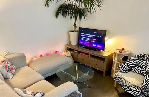 La Wantzenau Appartement | Appartement Cosy & Confort - Jardin
