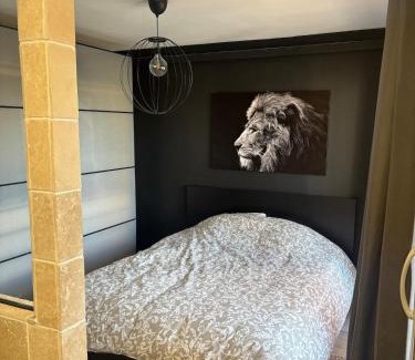 Joue-les-Tours Appartement | Appartement d Alex