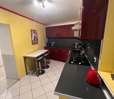 Carmaux Appartement | Appartement Darna - NETFLIX - WIFI - Terrasse avec jacuzzi