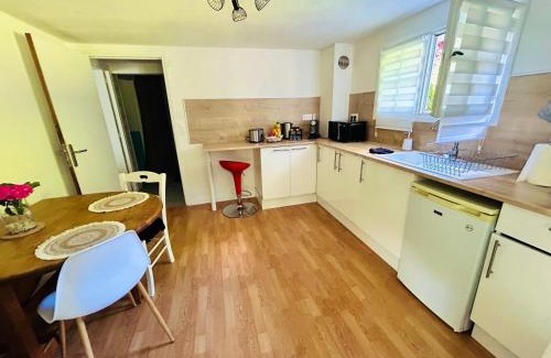 Chatillon-sur-Indre Appartement | Appartement entrée privative, terrasse et jardin