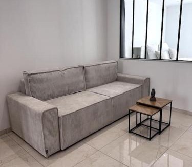 Bourgoin-Jallieu Appartement | Appartement en Hyper centre
