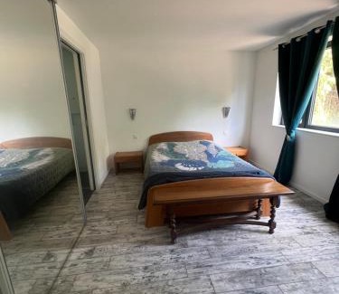Wingen-sur-Moder Appartement | Appartement en lisière de forêt