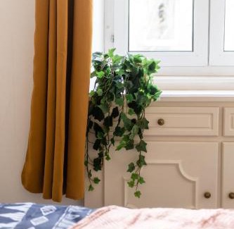 Mulhouse Appartement | Appartement entièrement rénové et cosy avec jardin