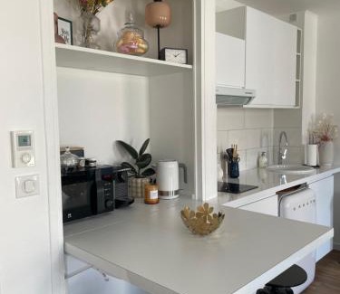 Ozoir-la-Ferriere Appartement | Appartement Entre Paris et Disney