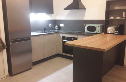 La Roche-sur-Foron Appartement | appartement T2 et jardin