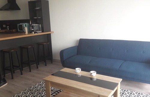 La Roche-sur-Foron Appartement | appartement T2 et jardin