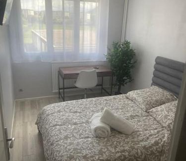 Saint-Martin-d'Heres Appartement | Appartement entier climatisé - parking privé