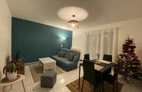 Saint-Pierre-des-Corps Appartement | Appartement cosy près de la gare avec parking