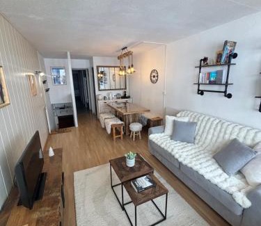 La Mongie Appartement | Appartement La Mongie au pied des pistes T2 46 m2 parking et wifi