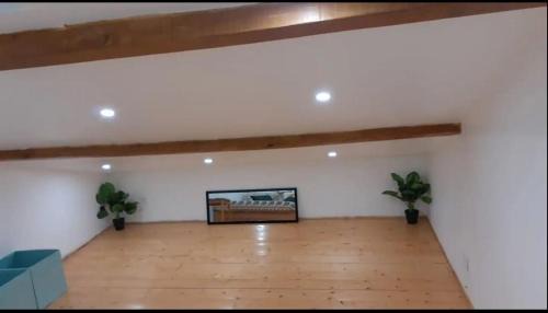 Pibrac Appartement | Appartement La Paix