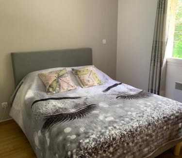 Corbelin Appartement | APPARTEMENT LE DOMAINE DES LIBELLULES PROCHE WALIBI