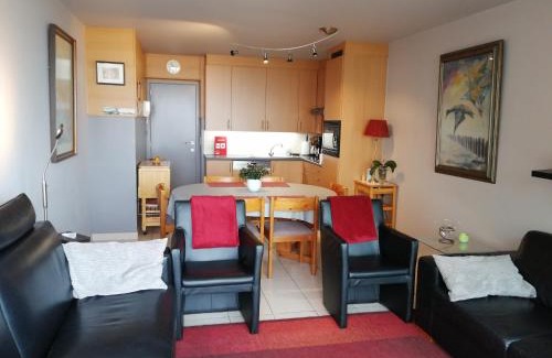 Raversijde Appartement | Appartement met zeezicht max 6 p