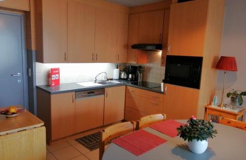 Raversijde Appartement | Appartement met zeezicht max 6 p