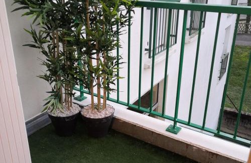 La Roche-Posay Appartement | Appartement meublé avec balcon - Animaux admis, WiFi - FR-1-541-146
