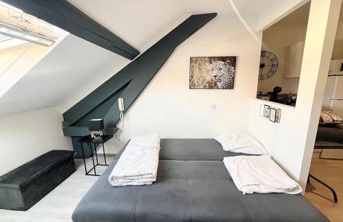 Belfort Appartement | Appartement moderne et central