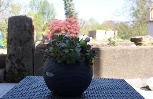 Berling Appartement | Appartement Petite Vallée
