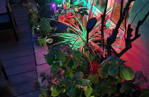 Alfortville Maison | Ré Jardin 5mn du RER C 20 mn Aéroport Orly à 15 mn Paris et 30 mn de Disneyland