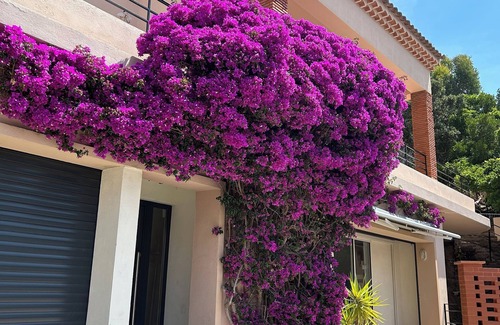 Le Lavandou Appartement | Appartement T2, dans une villa à proximité à pied de commerces, port et plage.