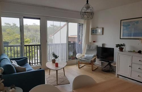 Le Penon Appartement | Appartement Seignosse, 2 pièces, 4 personnes - FR-1-239-935