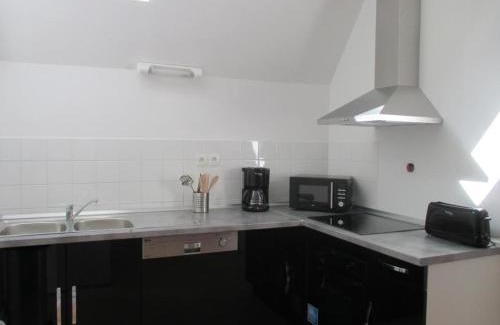 Trevol Maison | Appartement spacieux au Château avec parc arboré, proche de Villeneuve sur Allier, pour 6 pers., WiFi - FR-1-489-73