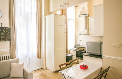 Brabantwijk Appartement | Appartement spacieux et complètement rénové