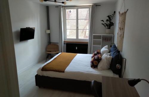 City-Centre - Petite France Appartement | Appartement Spacieux et Cosy - Strasbourg Centre