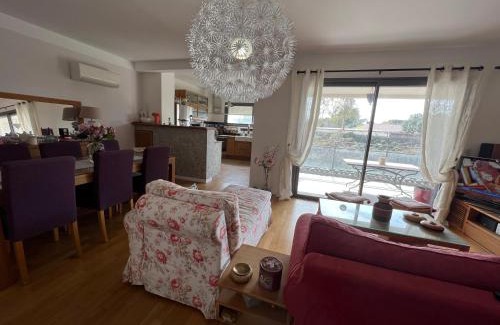 Le Ricanto Appartement | APPARTEMENT STANDING AJACCIO 5mn A PIEDS PLAGE DU RICANTO AJACCIO