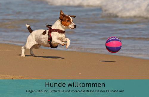 Binz Appartement | Appartement "Strandhöhle" - für die kleine Familie mit einem Kind