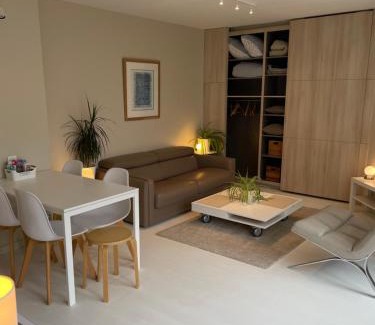 Old Lille Appartement | Appartement ,superbe terrasse 40m2 , vieux Lille , centre ville