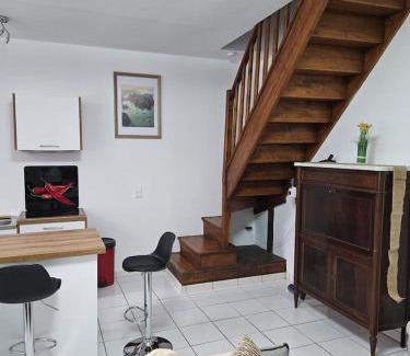 Oloron-Sainte-Marie Appartement | Appartement -T3 de standing