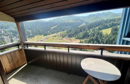 Laveissiere Appartement | Appartement T2 cabine proche pistes avec balcon et casier à skis - FR-1-787-13