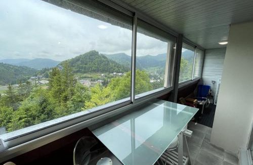 Laveissiere Appartement | Appartement T2 cabine avec balcon, accès piste, parking, animaux bienvenus - FR-1-787-69