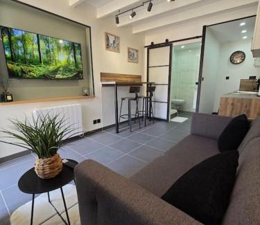 La Verpilliere Appartement | Appartement T2 en duplex