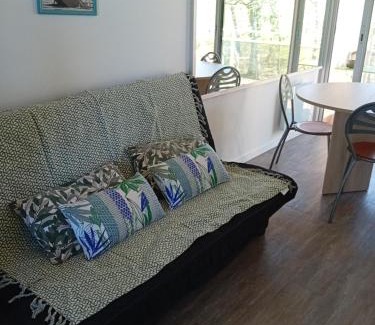 Buzet-sur-Tarn Appartement | Appartement T2 face au golf