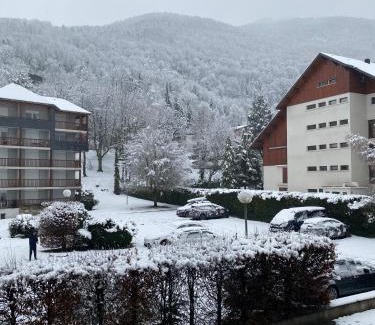 Saint-Lary-Soulan Appartement | Appartement T2+coin nuit 6 pers résidence de Cami Real au centre du village de saint Lary Soulan avec piscine intérieure+ sauna et hammam