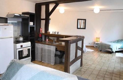 Mennetou-sur-Cher Appartement | Appartement Terrasse à Mennetou sur Cher "La Cité Médiéval
