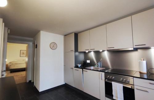 Fribourg Appartement | Appartement tout confort rénové avec vue - Tilleul 5