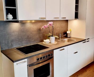 Roppen Appartement | Appartements Falkner