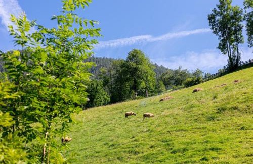 Alpbach Maison | Appartements Zellner