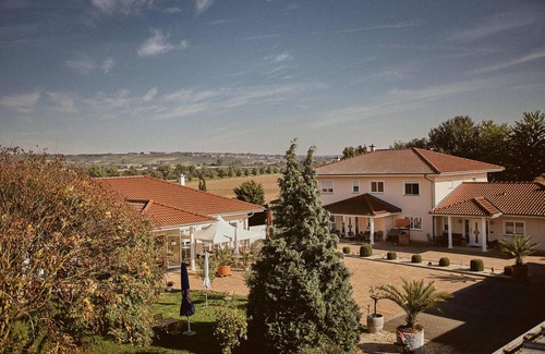 Mainz-Bingen Maison | Appartment mit Panorama Blick
