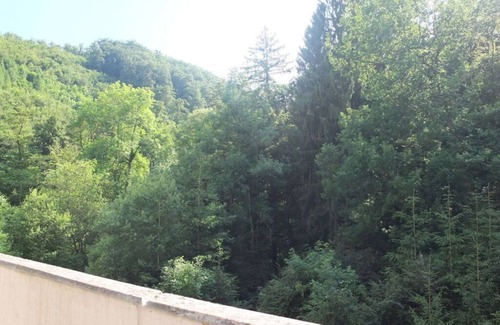 Bad Harzburg Appartement | Atractivo apartamento en Bad Harzburg