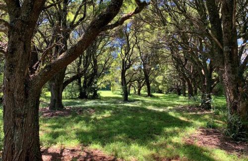 Robertson Maison | Applegarth Cottage - Whole House On 5 Acres